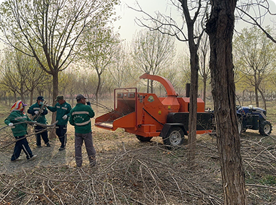 The working site of the small branch chipper for landscaping in Guangdong